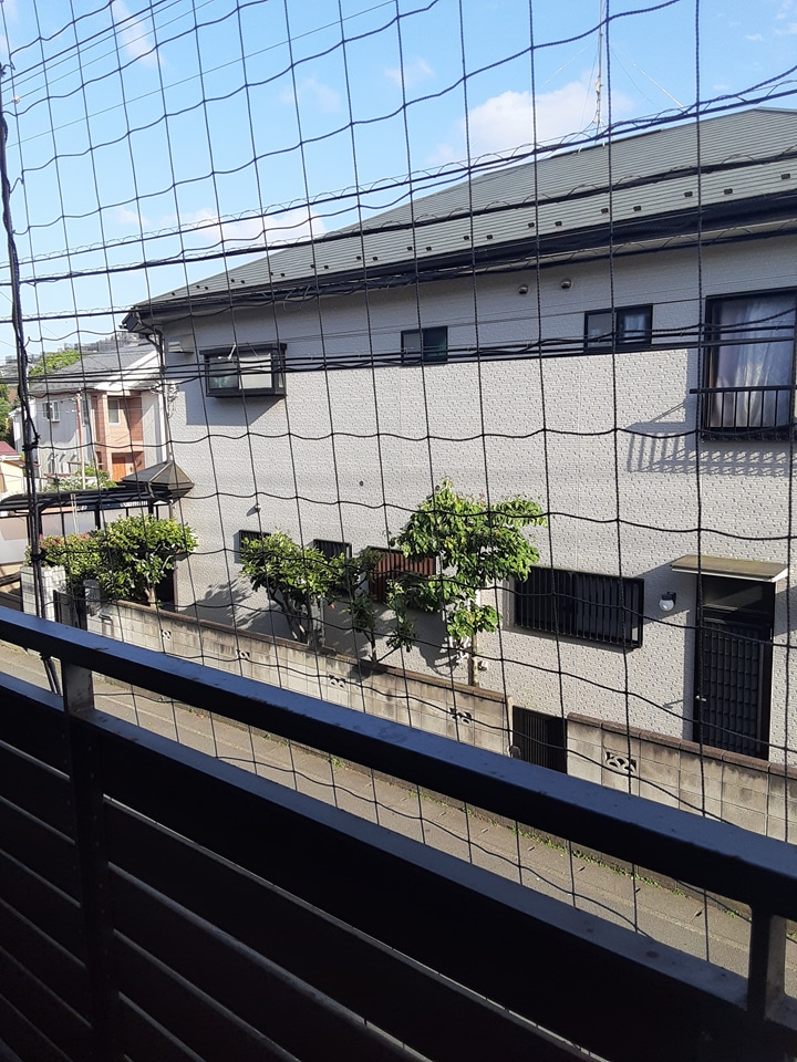 16/27 その他画像