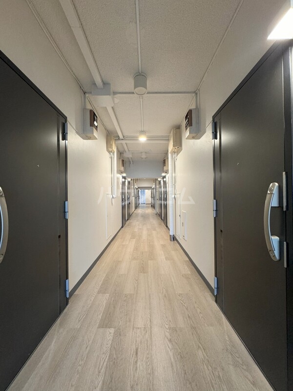 8/17 その他画像