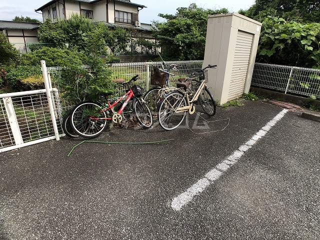 20/30 その他画像