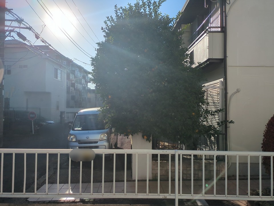 21/30 その他画像