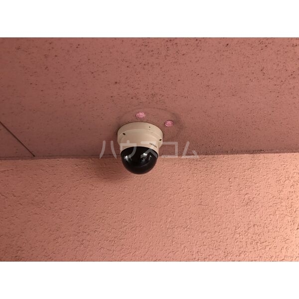 15/29 その他画像