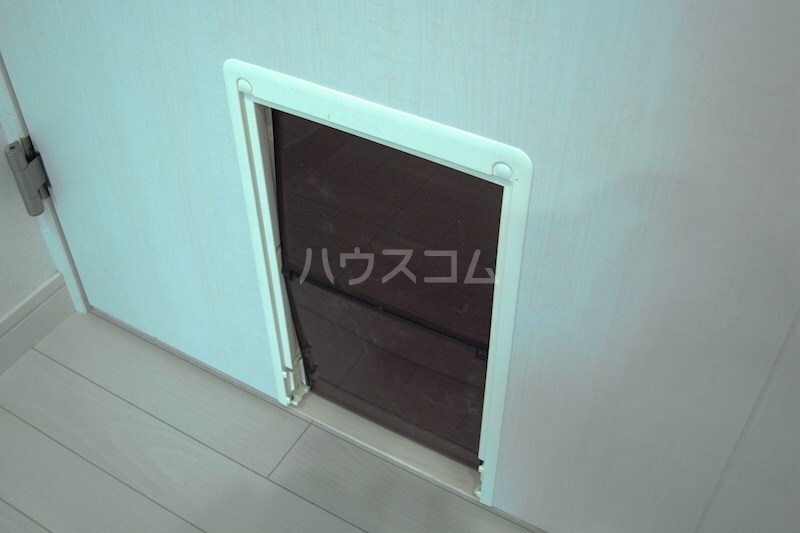 13/22 その他画像