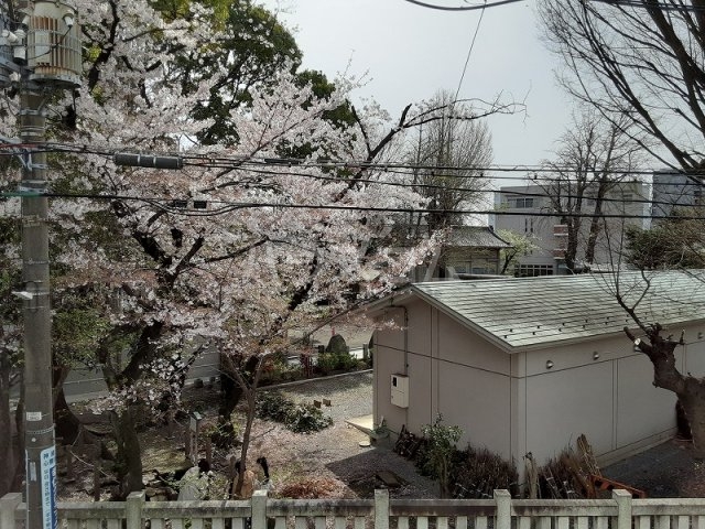 15/23 その他画像