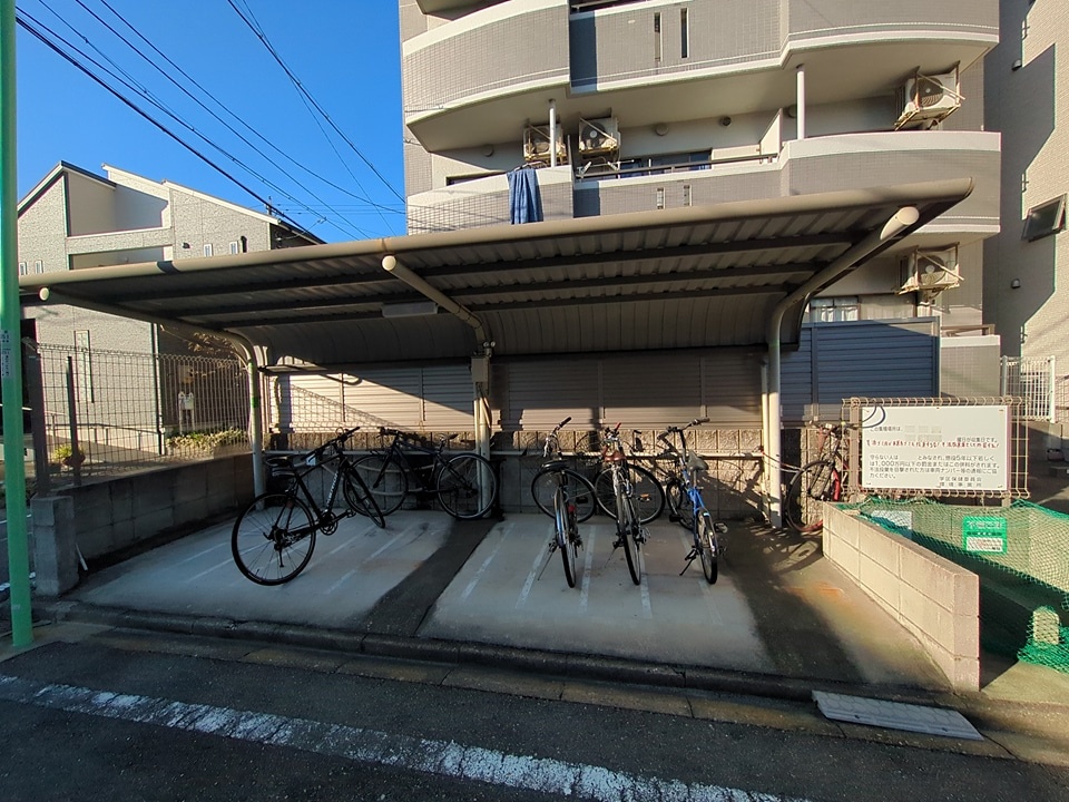 20/30 その他画像