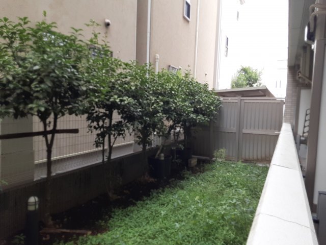 24/29 その他画像