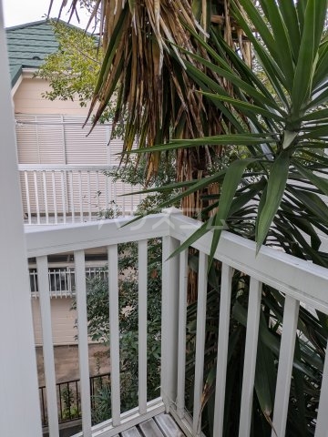 24/29 その他画像