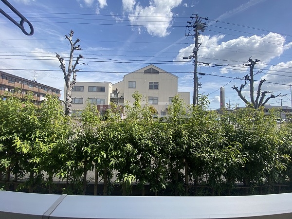 5/16 その他画像