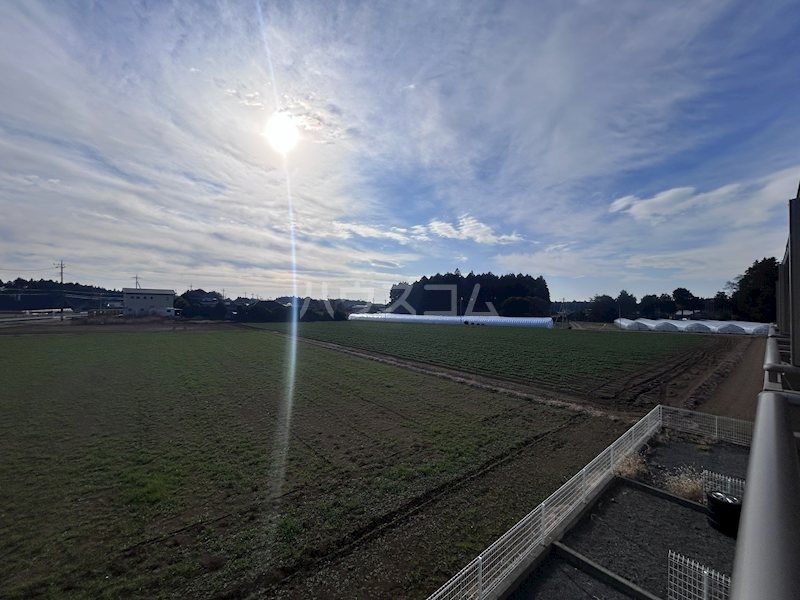 17/28 その他画像