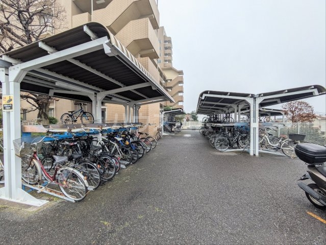 20/30 その他画像