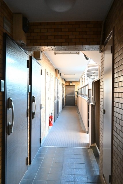 8/17 その他画像