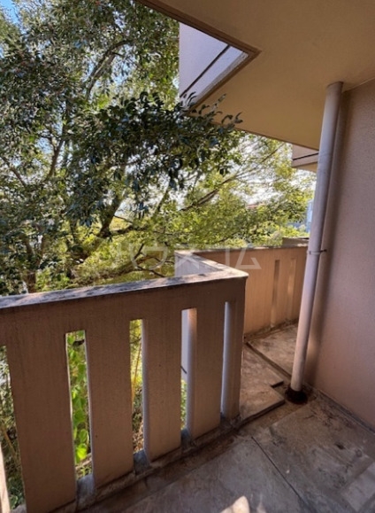 11/24 バルコニー