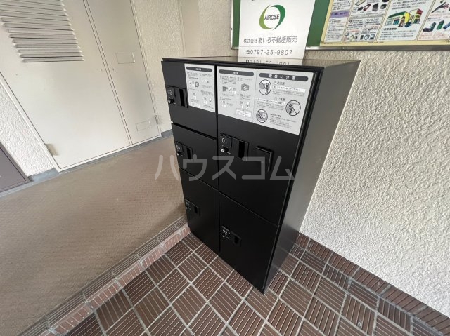 20/30 その他画像