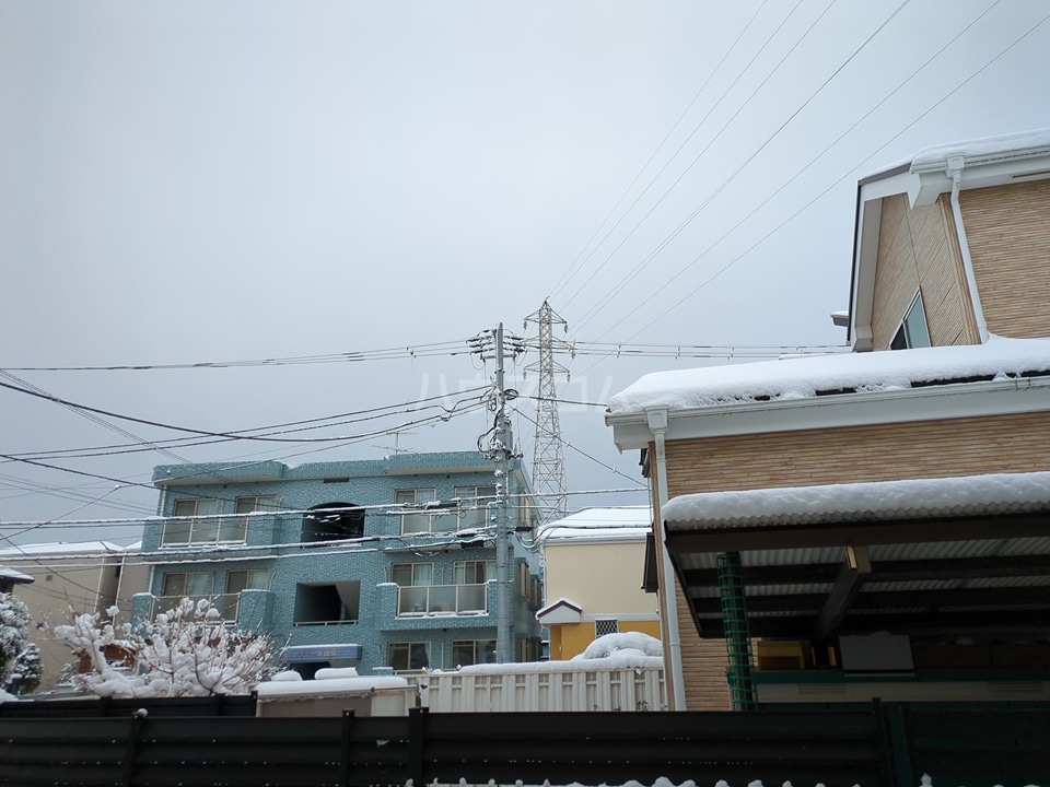 12/20 その他画像