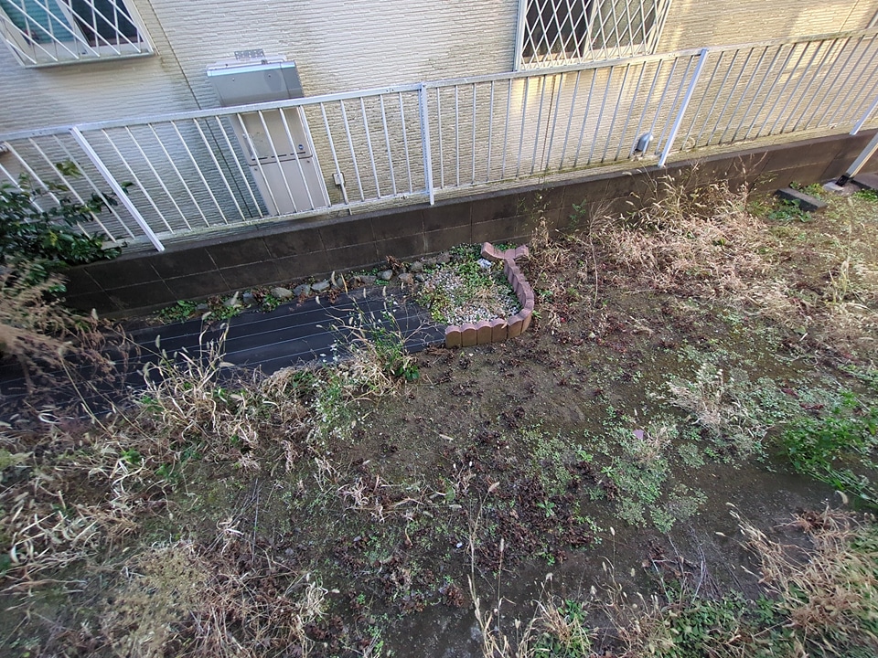 12/21 その他画像