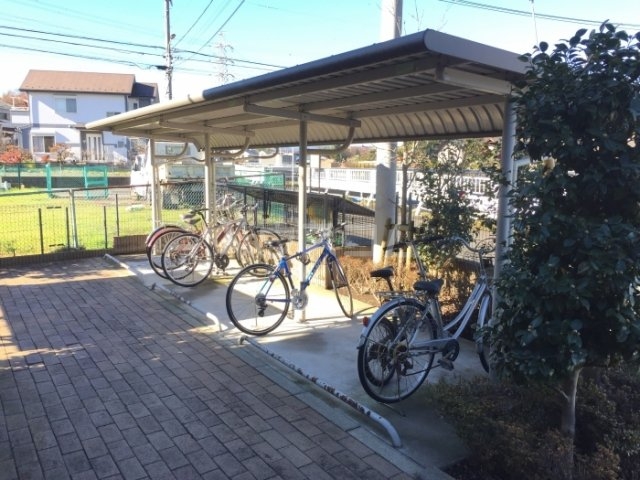 20/30 その他画像