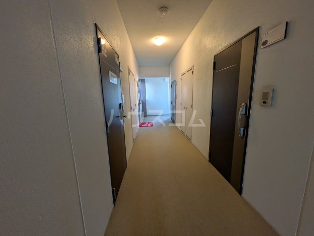 17/28 その他画像