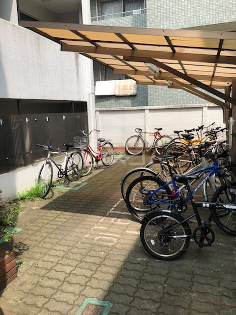 20/30 その他画像