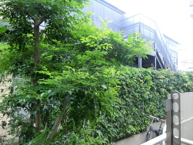 14/18 その他画像