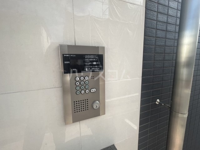 3/15 その他画像