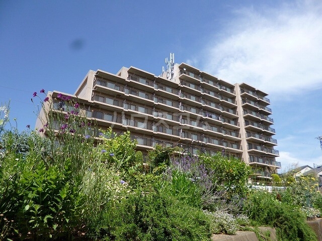 15/25 その他画像