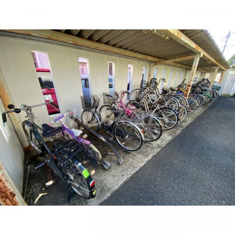 20/30 その他画像