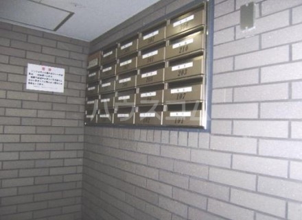 20/30 その他画像