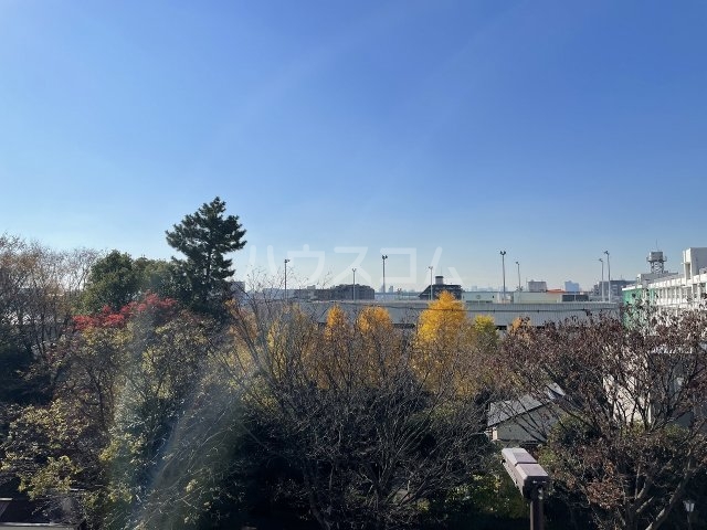 29/30 その他画像