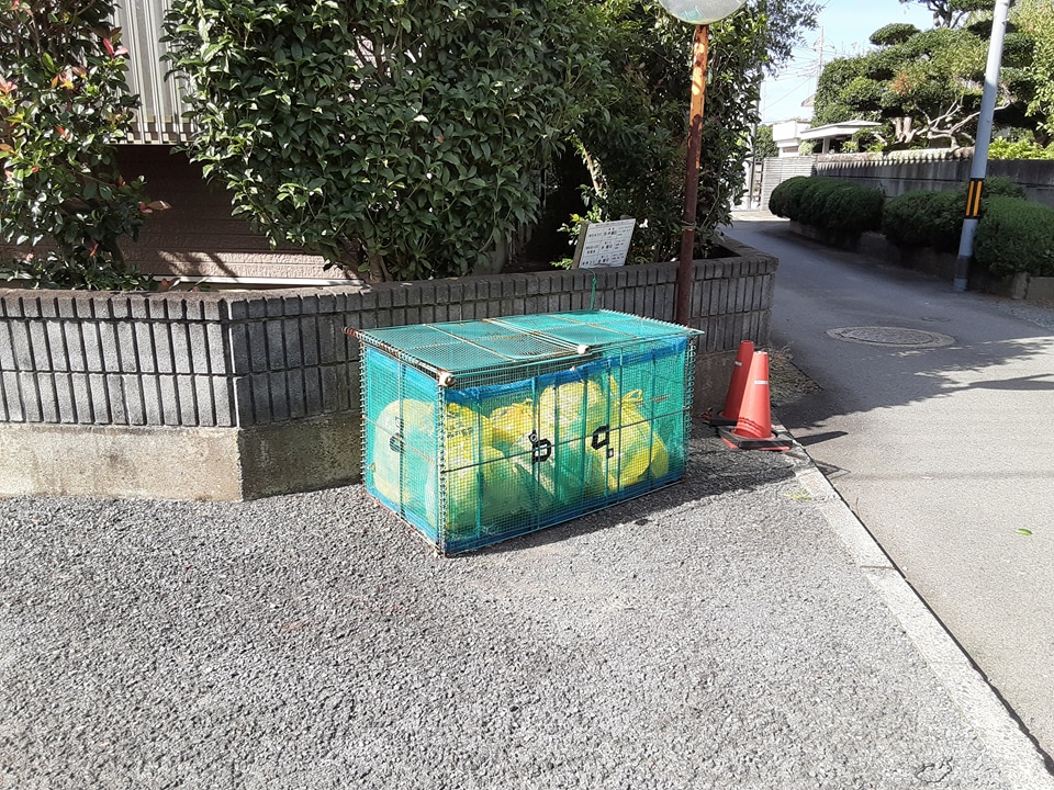 18/22 その他画像