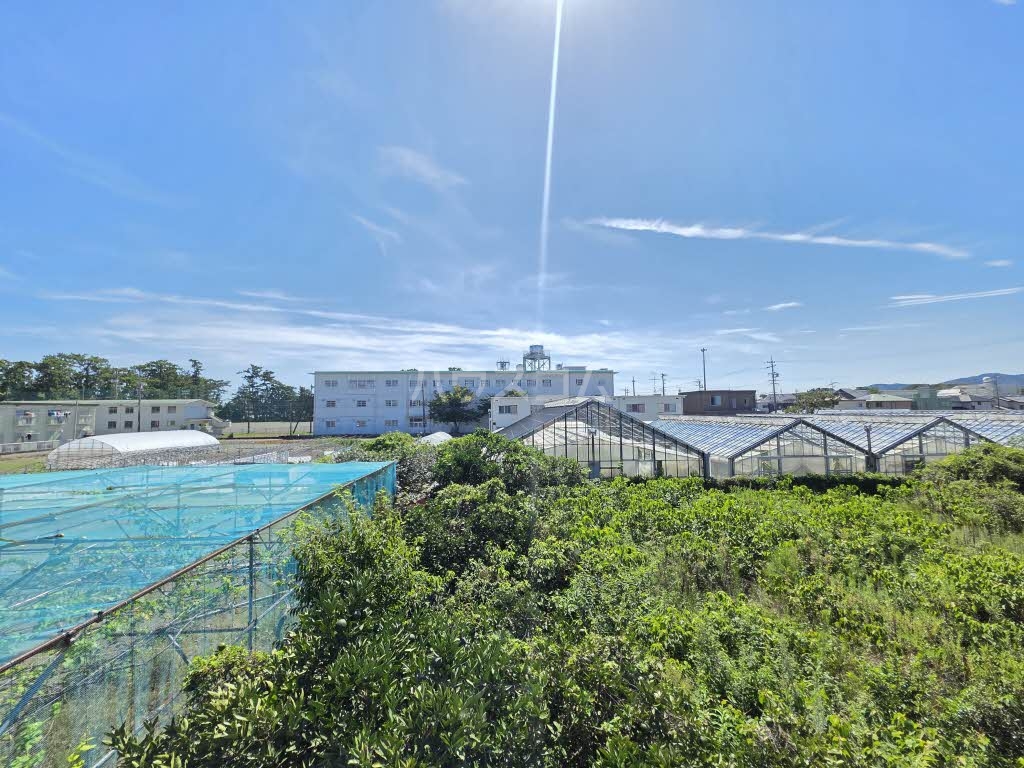 13/17 その他画像