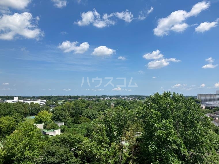 15/26 その他画像