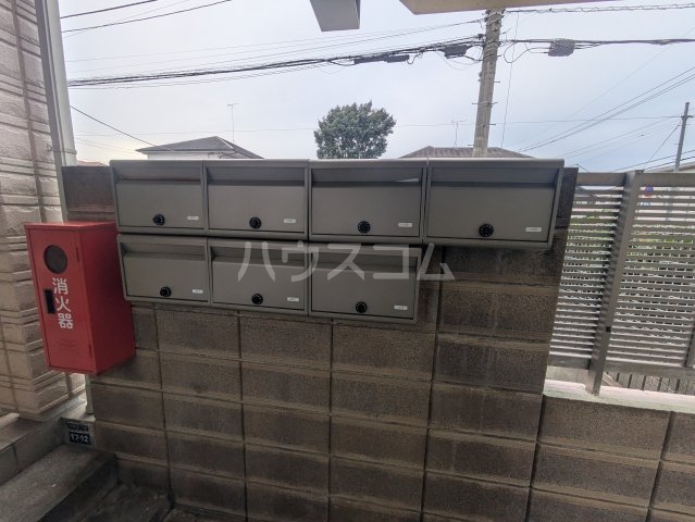 20/30 その他画像