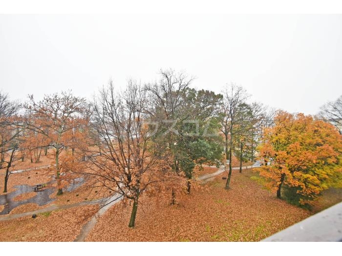 15/25 その他画像