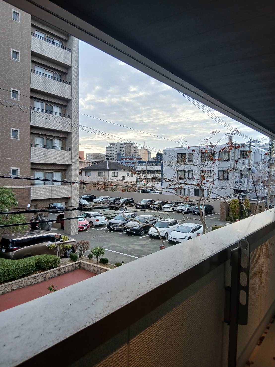 17/19 その他画像