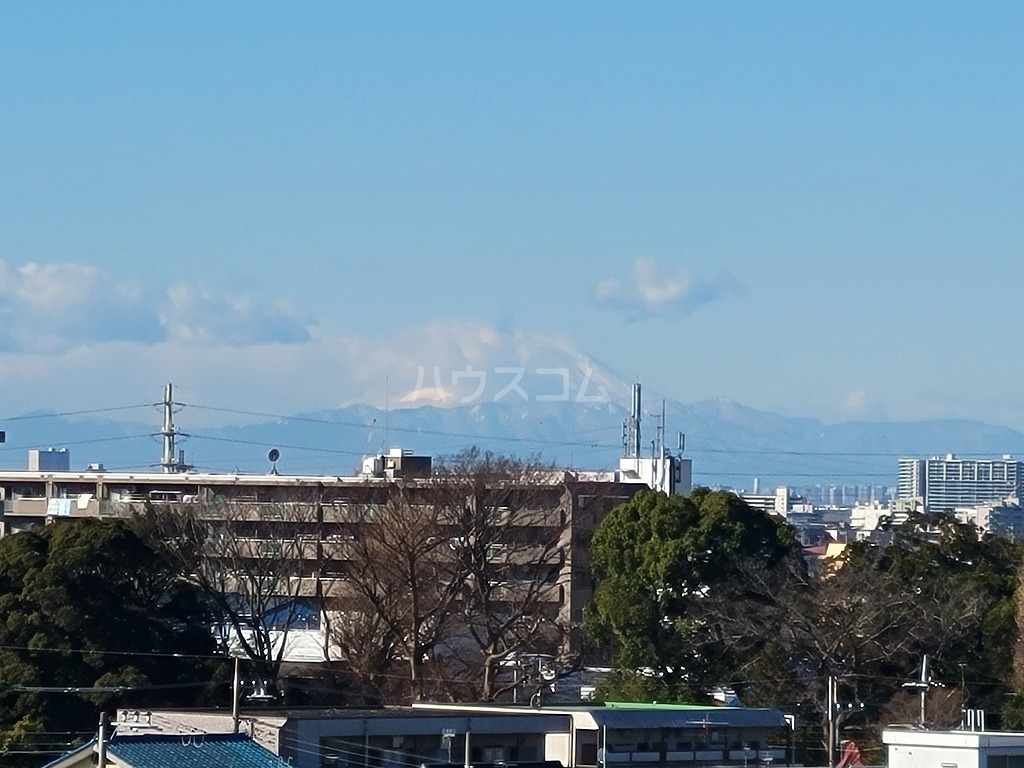 20/30 その他画像