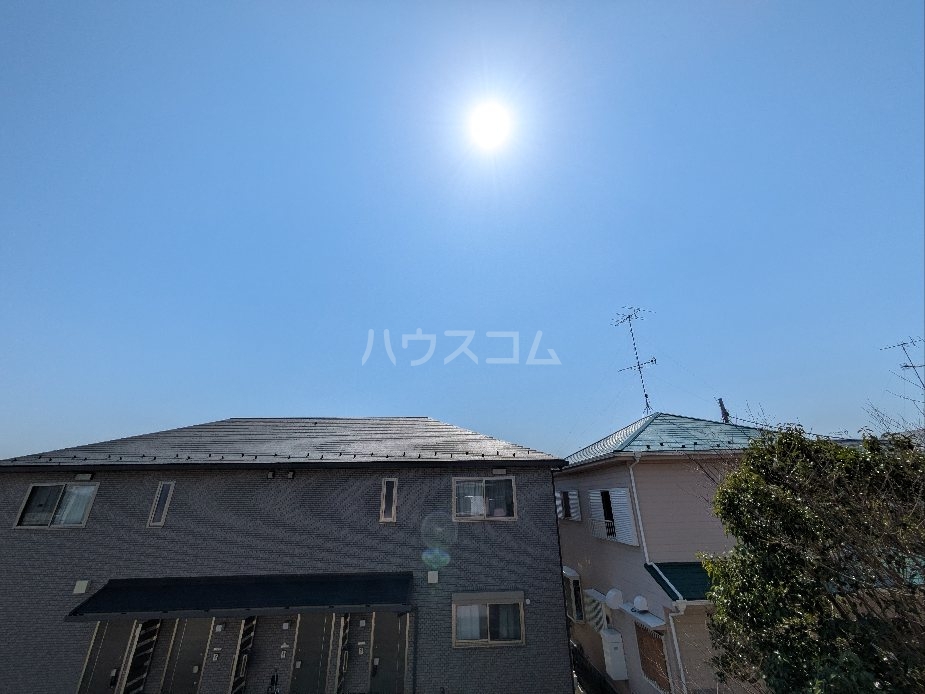 20/30 その他画像