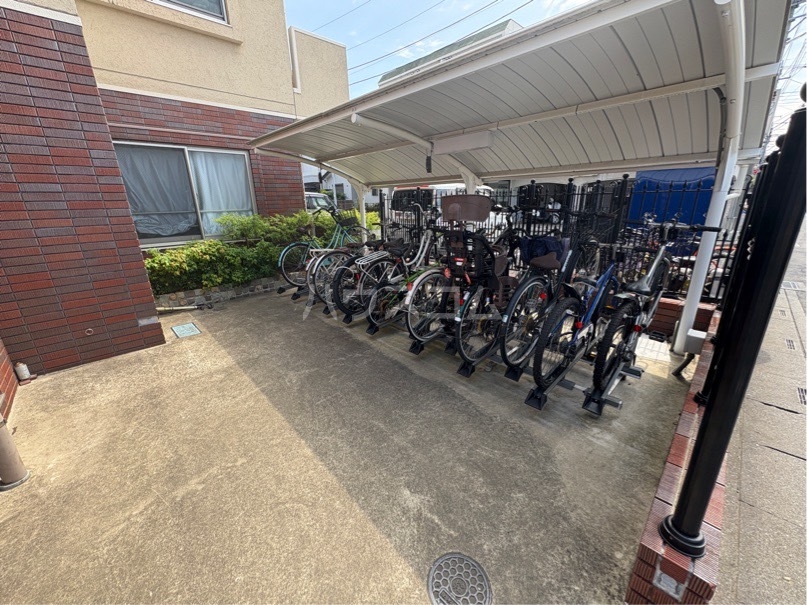 6/19 その他画像