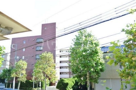 13/21 その他画像