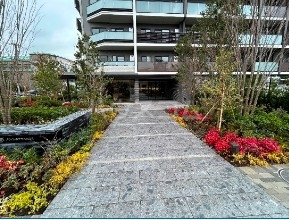 15/25 その他画像