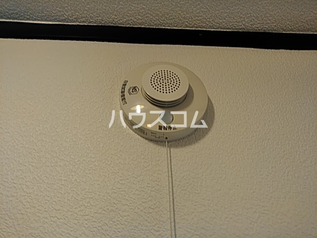 13/17 その他画像