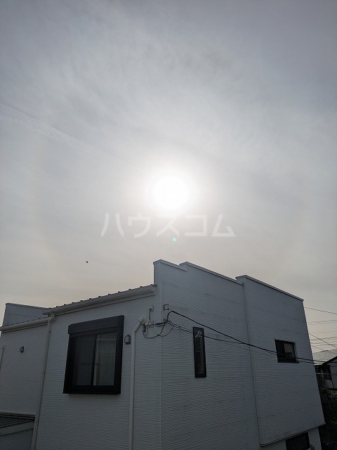 20/30 その他画像