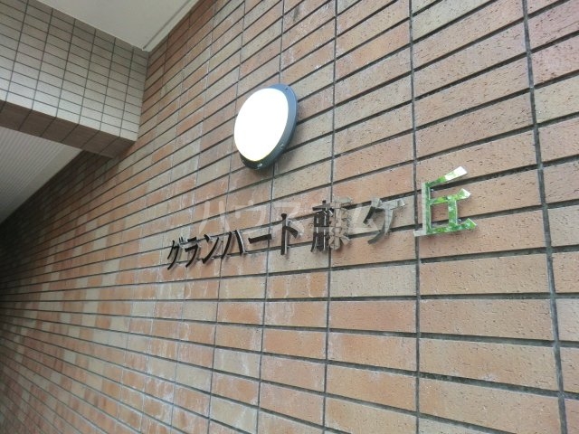 21/29 その他画像