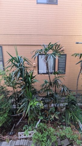 15/18 その他画像