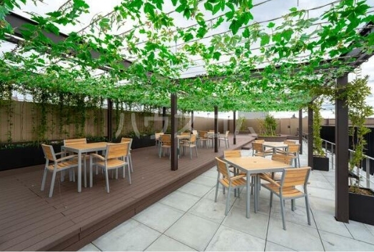 12/24 その他画像