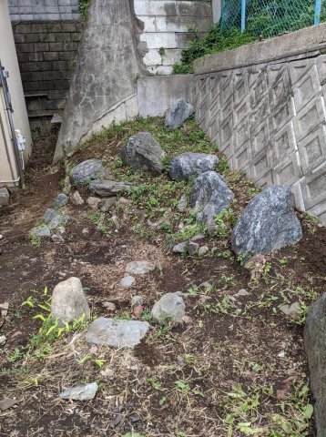 13/24 その他画像