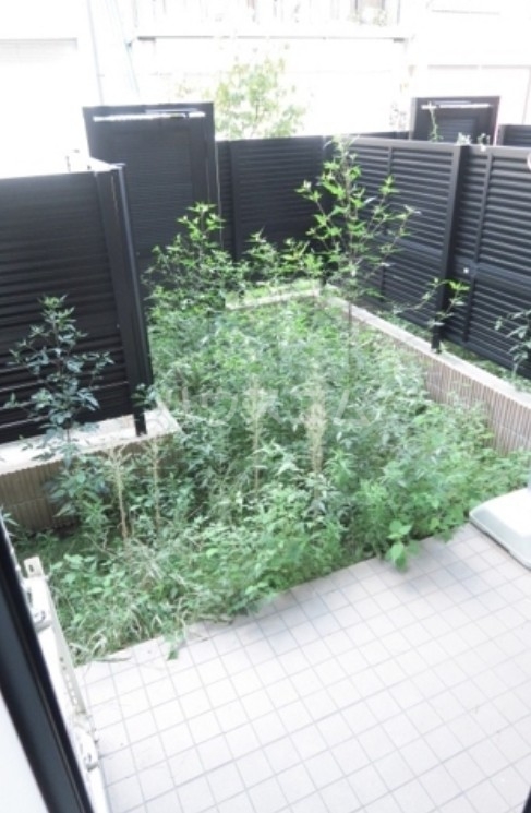 18/28 その他画像