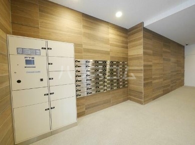 17/29 その他画像