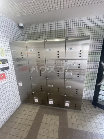 20/30 その他画像