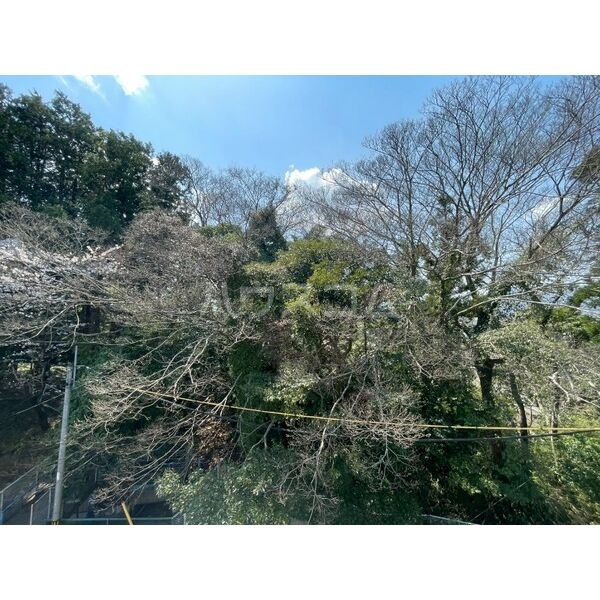 14/18 その他画像