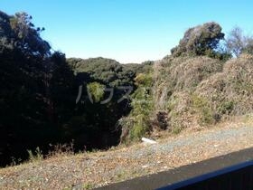 15/20 その他画像