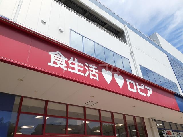 17/28 周辺